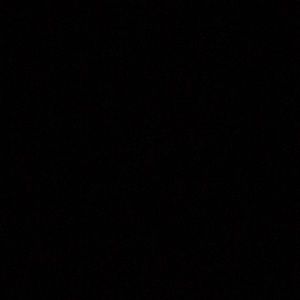 Meet your Posher, Dillon